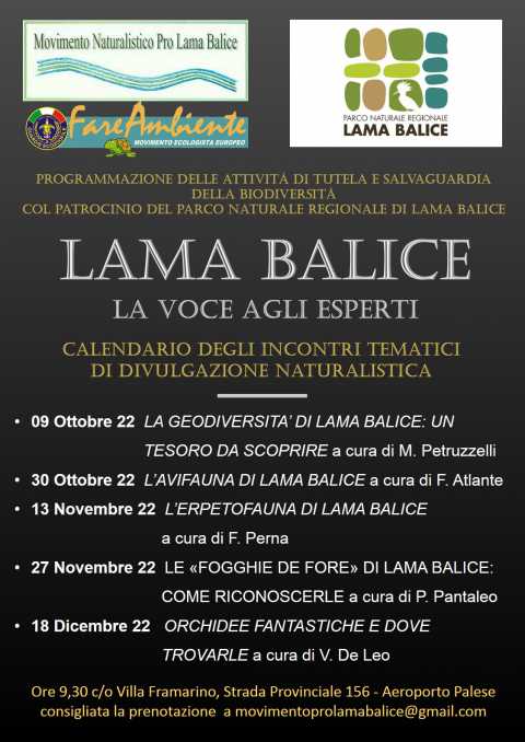 Lama Balice, visite guidate al Museo dei dinosauri di Villa Framarino
